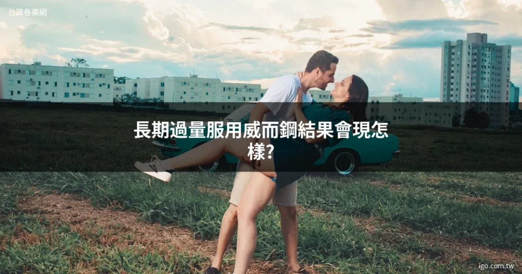 台灣春藥網 1317