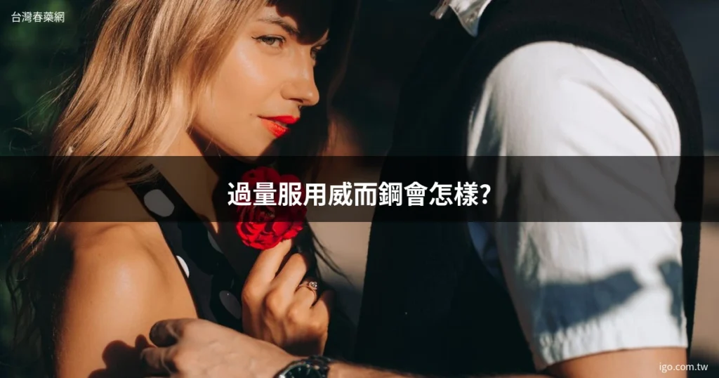 台灣春藥網 1319